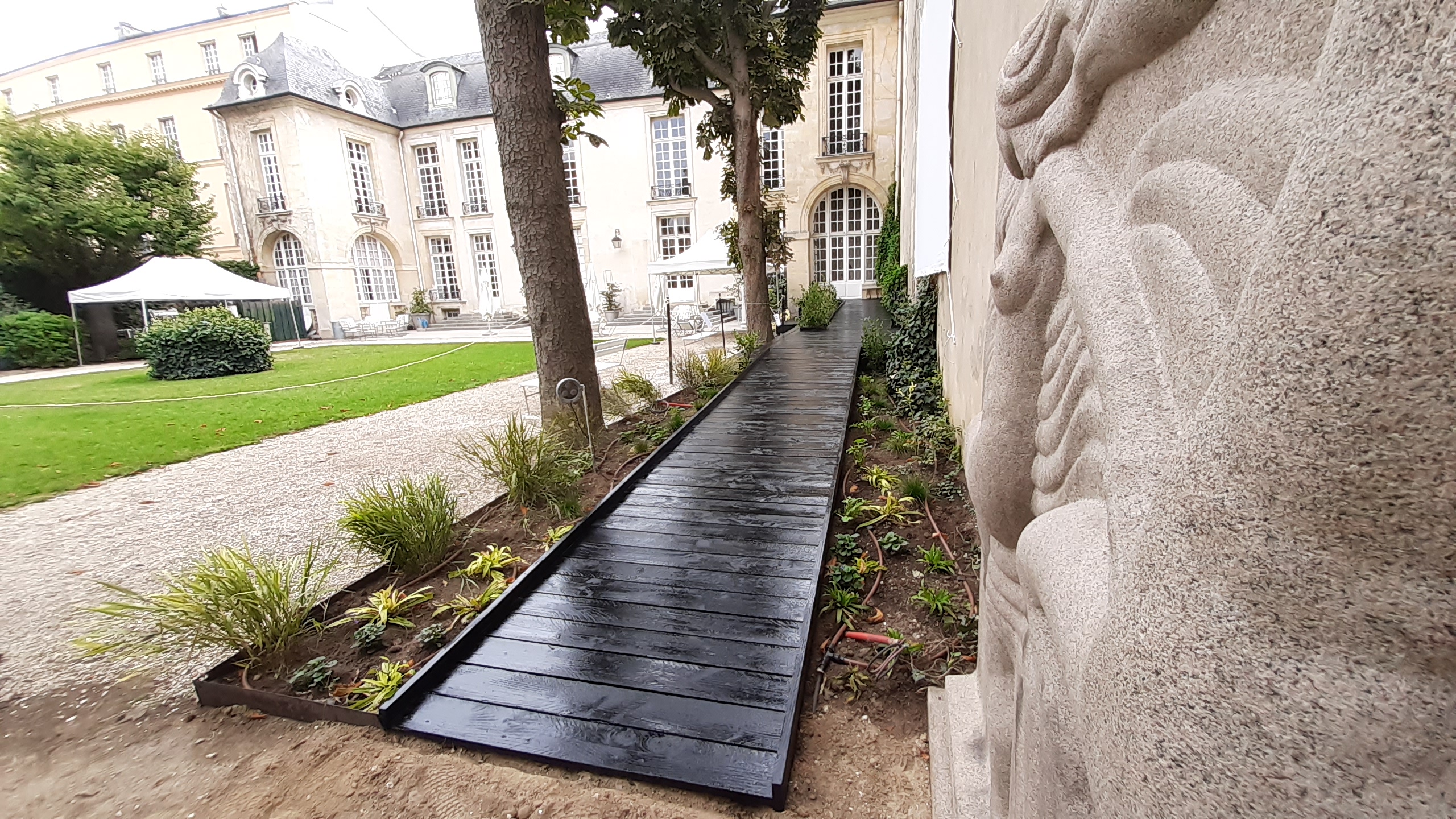 Le parcours Von Linné à l'Institut Suédois