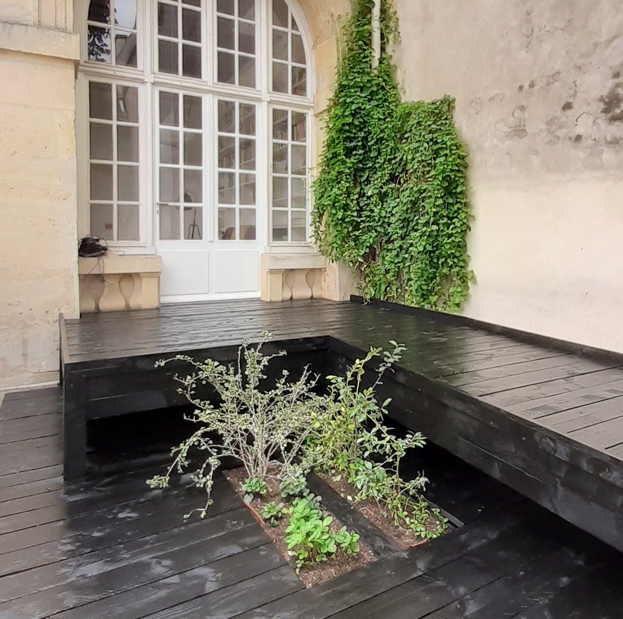 Le parcours Von Linné à l'Institut Suédois