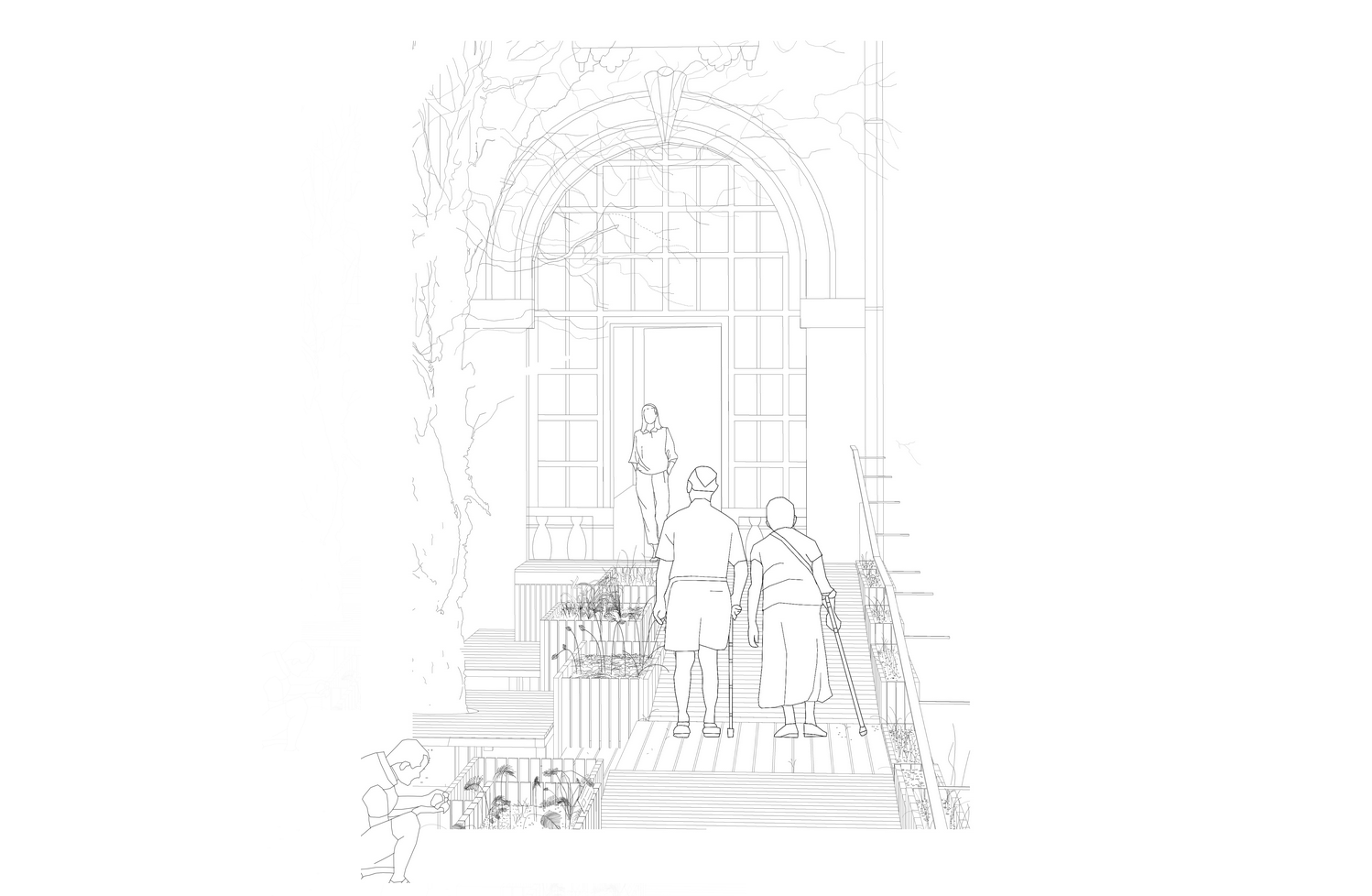 Le parcours Von Linné à l'Institut Suédois